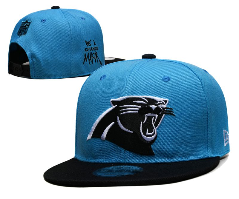 2025 NFL Carolina Panthers Hat YS20253101
